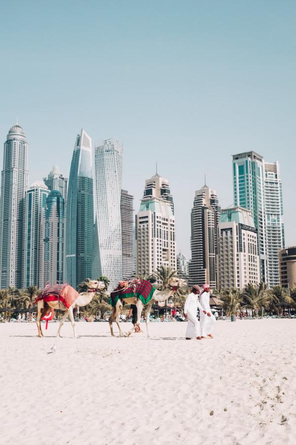 5 Reasons Why You Have to Visit Dubai!